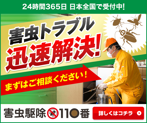 害虫駆除の相談窓口｜24時間×全国